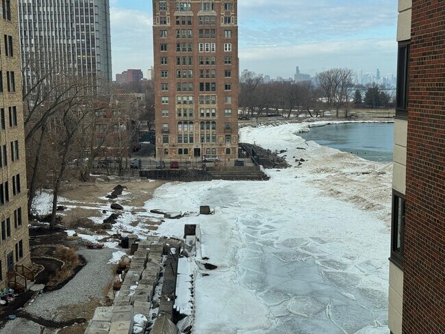 Building Photo - 7337 S South Shore Dr