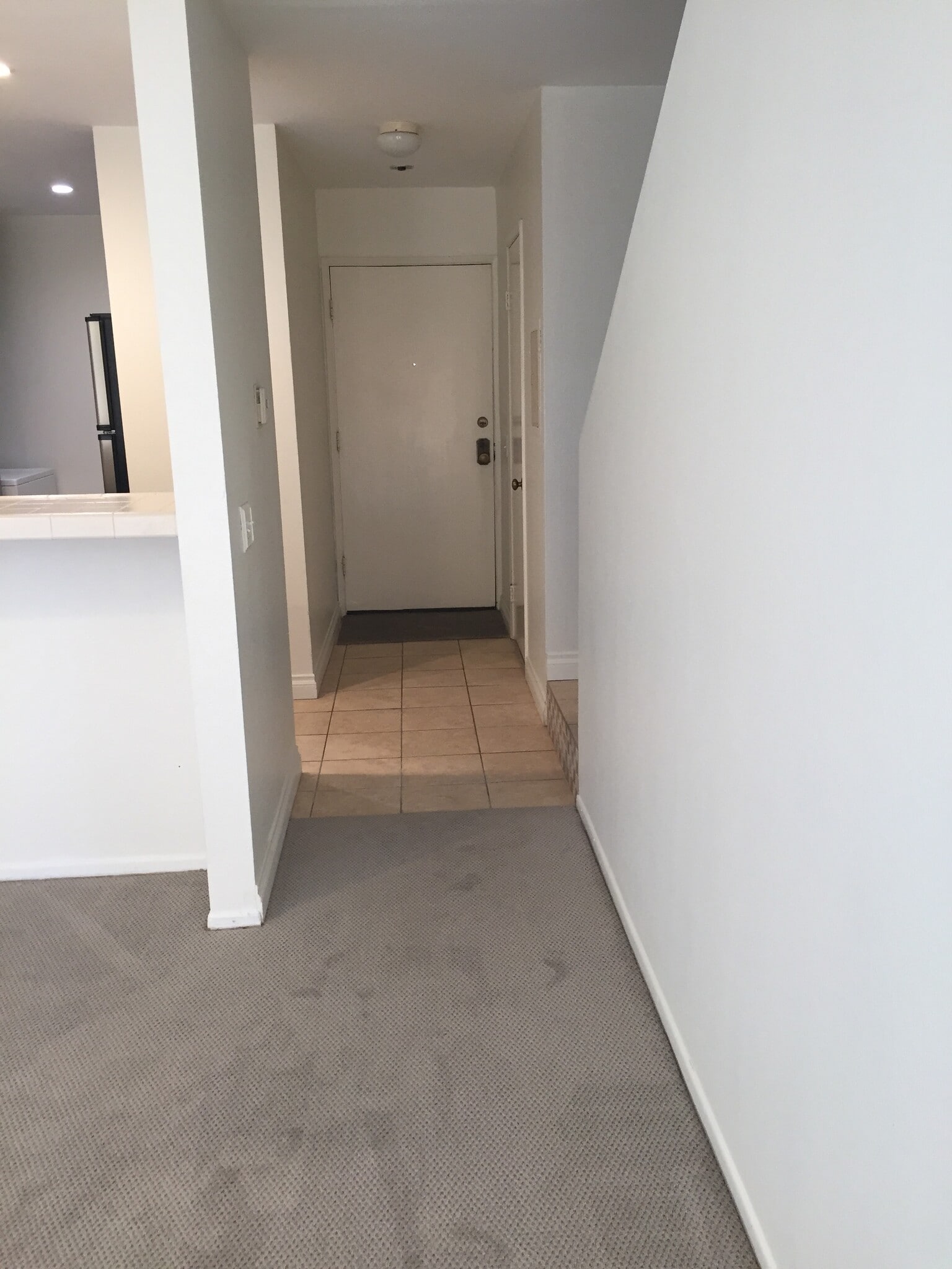 Entry door, kitchen to left, powder bathroom to righy - 350 Burchett St