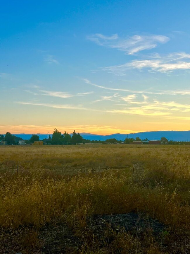 Building Photo - Beautiful New 3/2 Horse Property