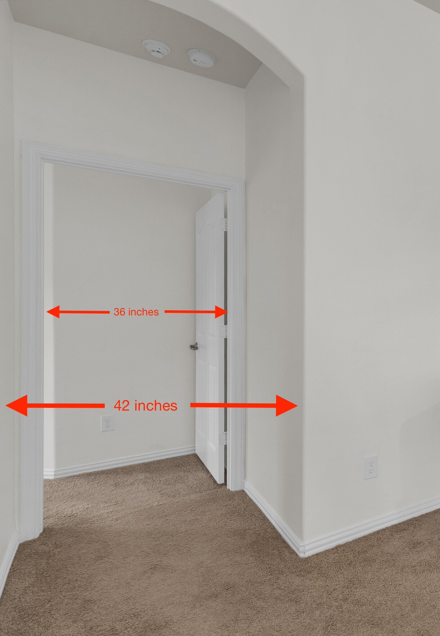 Building Photo - 24506 Forest Canopy Dr