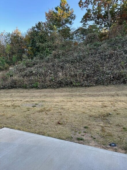 Backyard1 - 3671 Acorn Dr