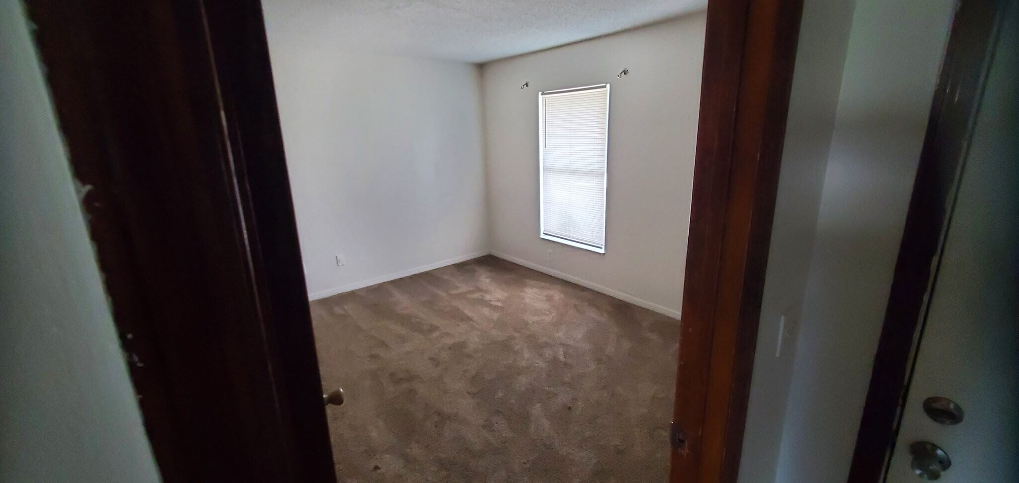 Building Photo - 1222 Tino Ct