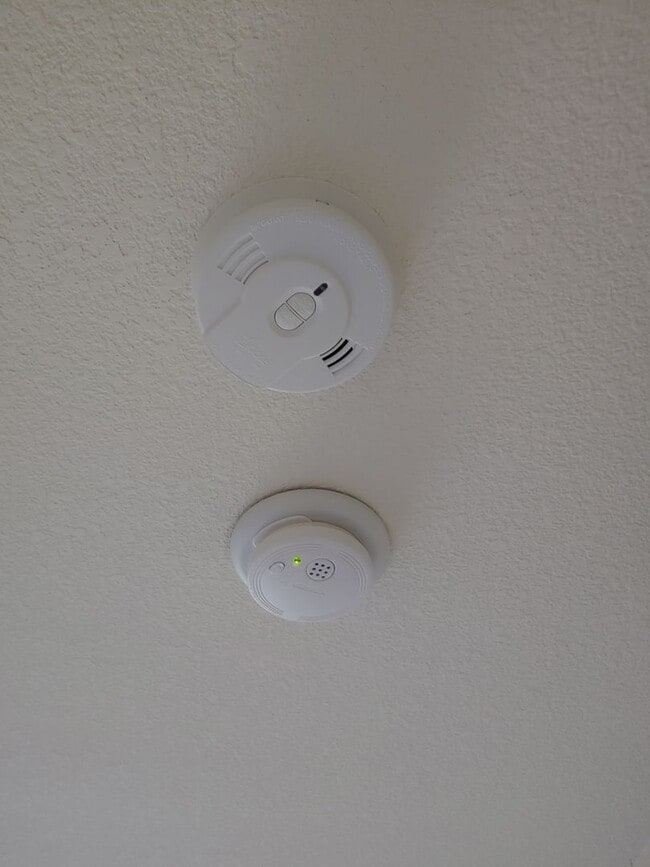 Building Photo - Gorgeous Spacious TownHome in Downtown Mou...