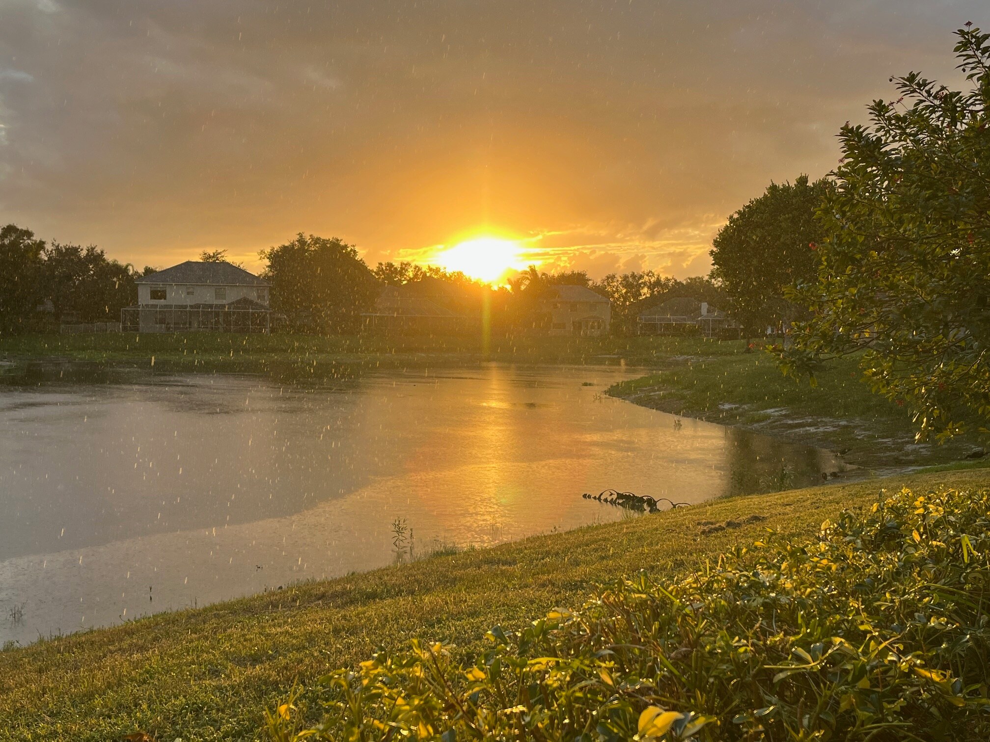 Building Photo - 207 Banyanwood Pt