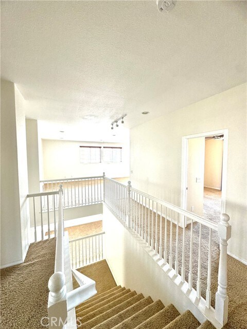 Building Photo - 26294 Norma Jean Pl