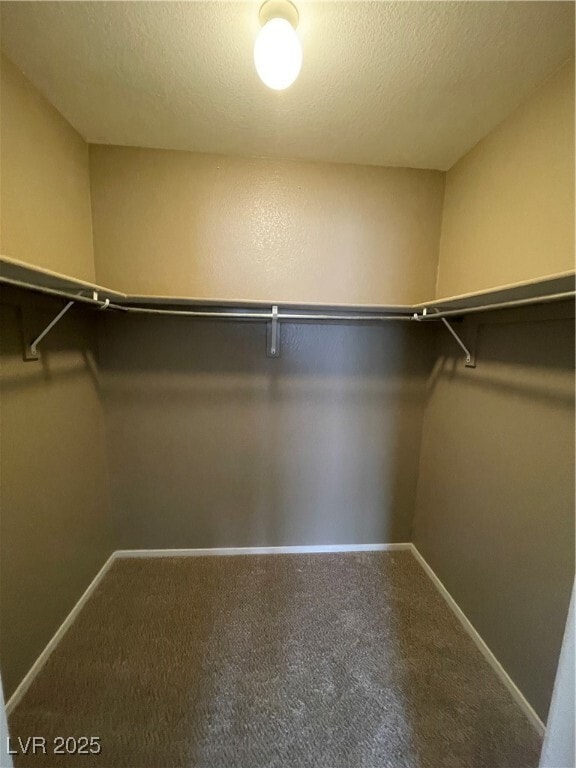 Building Photo - 502 Quail Bird Pl