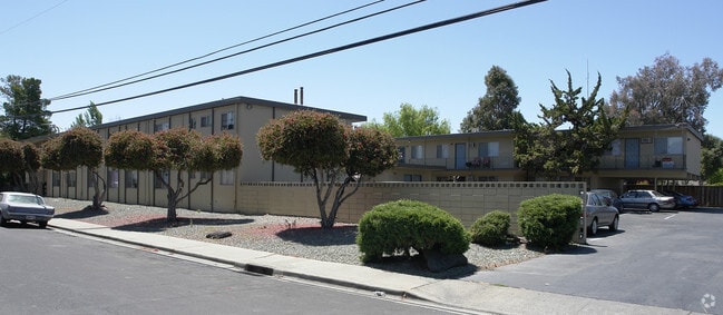 Primary Photo - Driftwood Apartment