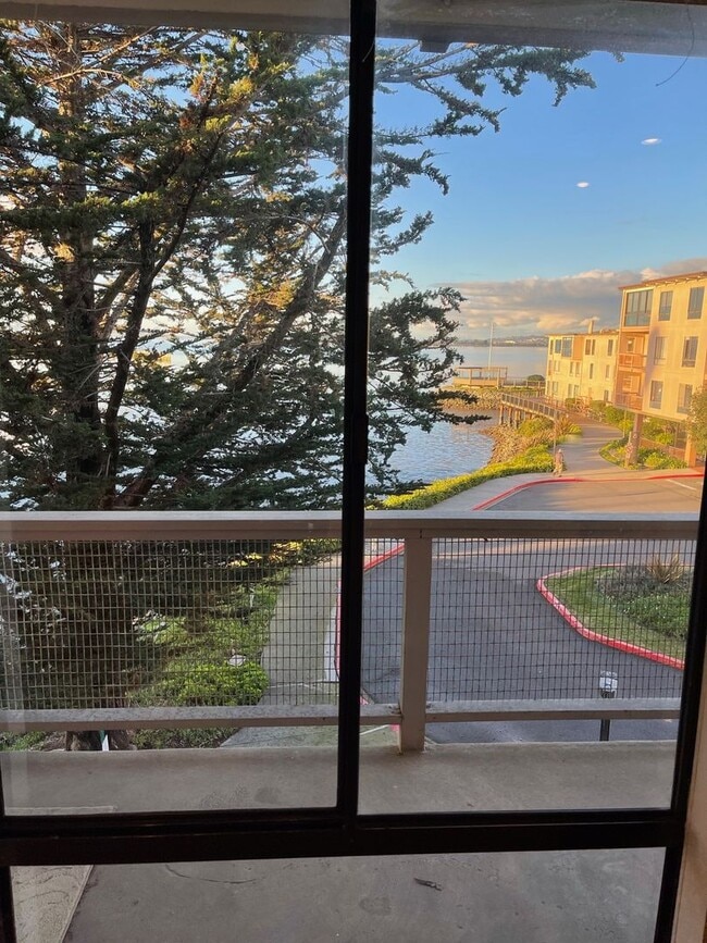 Building Photo - Designer Living in Waterfront Furnished Condo