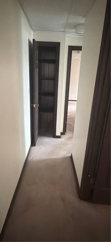 Building Photo - 524 Breezy Point Dr