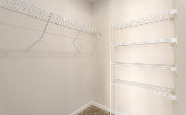 Building Photo - 805 Falls Grove Trl