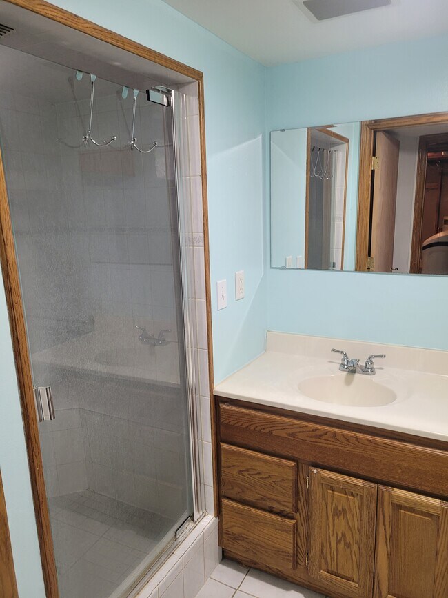 Downstairs bath - 4029 Mica Trail