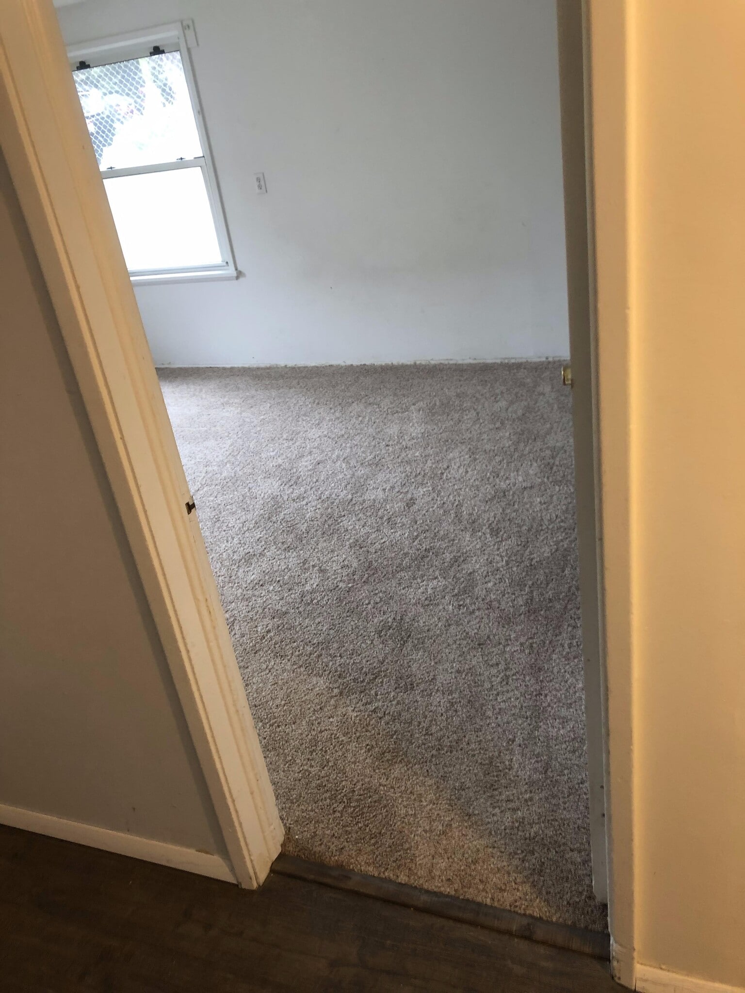 3rd Bedroom (Downstairs) - 108 Toponce Drive