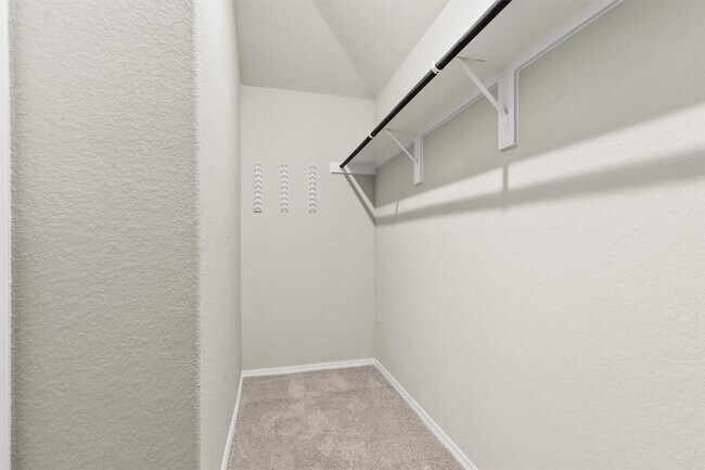 Building Photo - 2637 Shady Cedar Ct