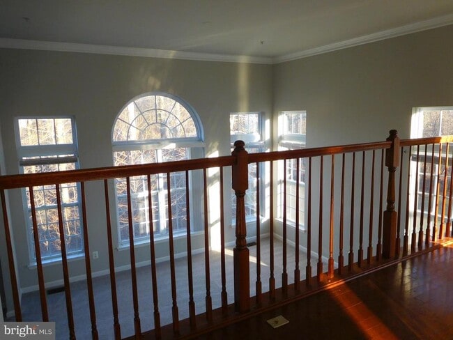 Building Photo - 12420 Rollys Ridge Ave