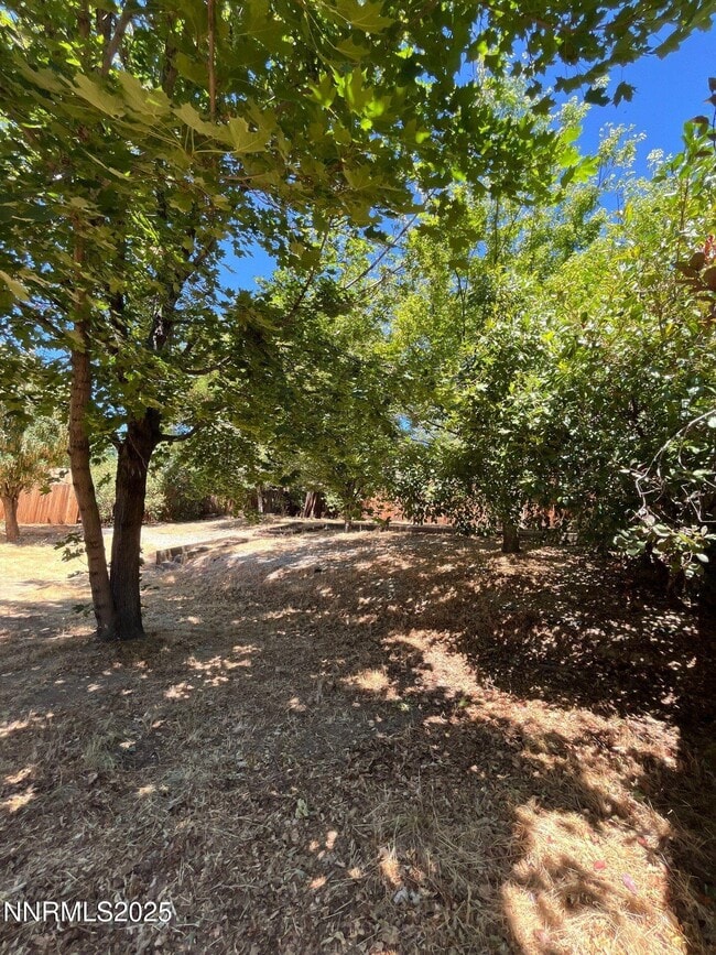 Building Photo - 5311 Coit Dr