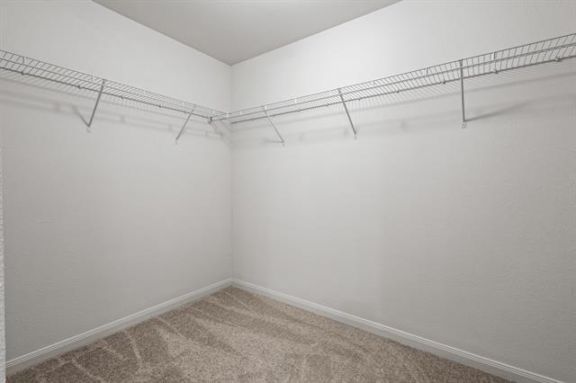 Building Photo - 4308 Cat Tail Wy
