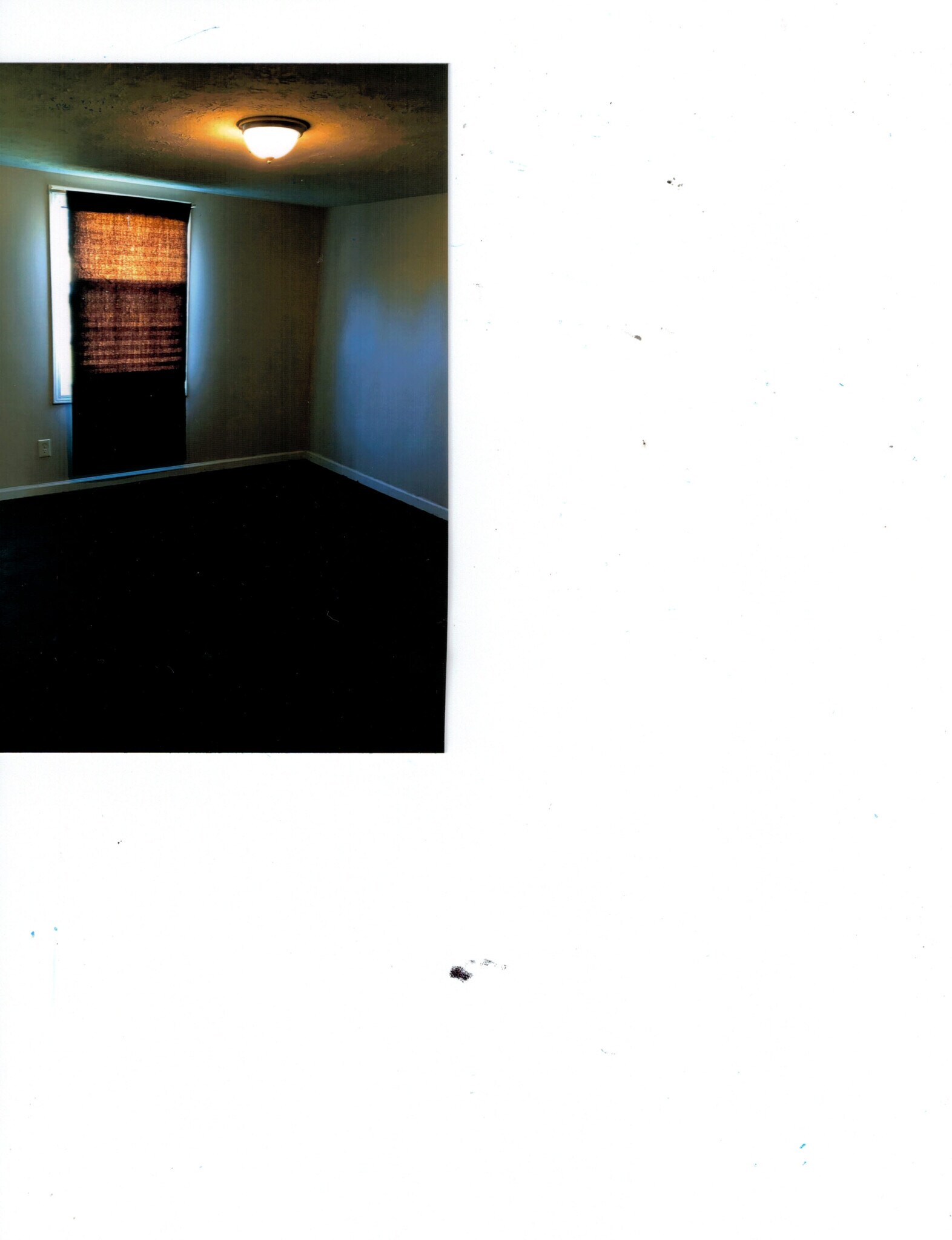 Building Photo - 3007 Raymond Burse Ct