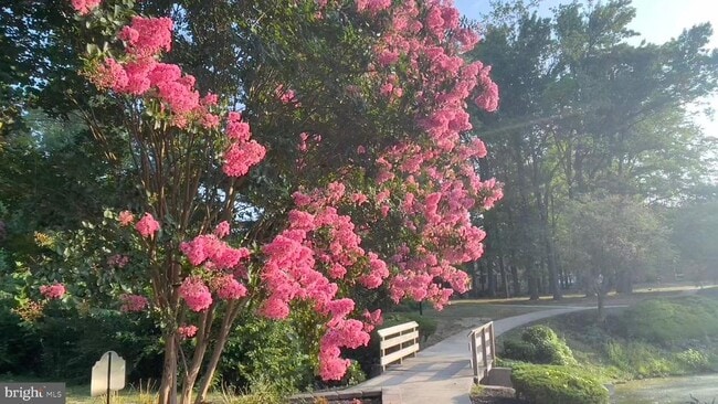 Building Photo - 1017 Oaklyn Ct