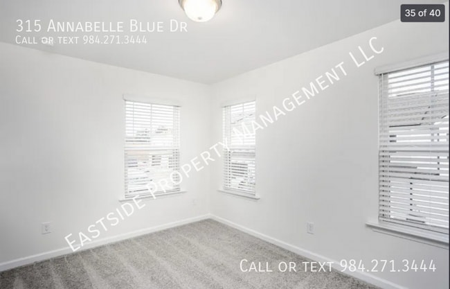 Building Photo - 315 Annabelle Blue Dr