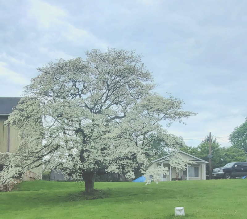 Building Photo - 4020 Bay Rd