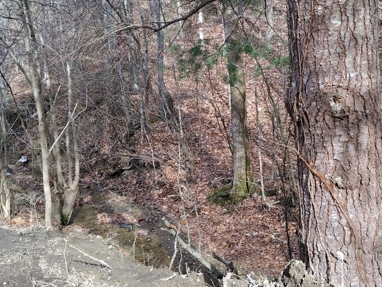 Building Photo - 362 Ester Spur Rd