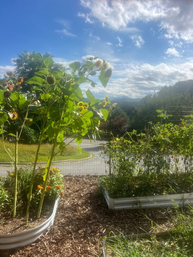 Building Photo - 127 Sun Haven Ln