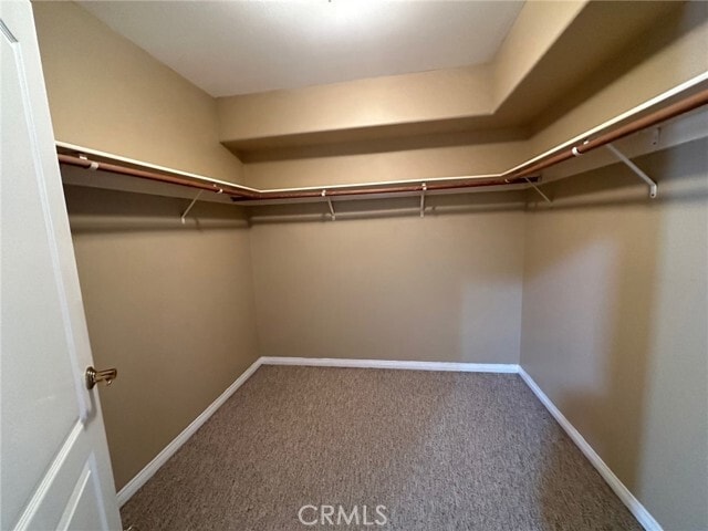 Building Photo - 1004 Harkness Ln