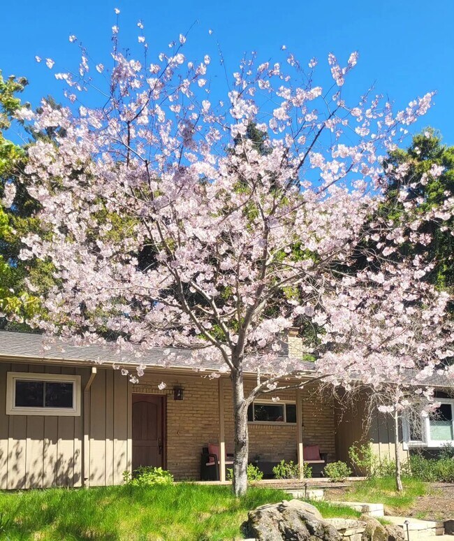 Building Photo - Shared Housing Portola Valley