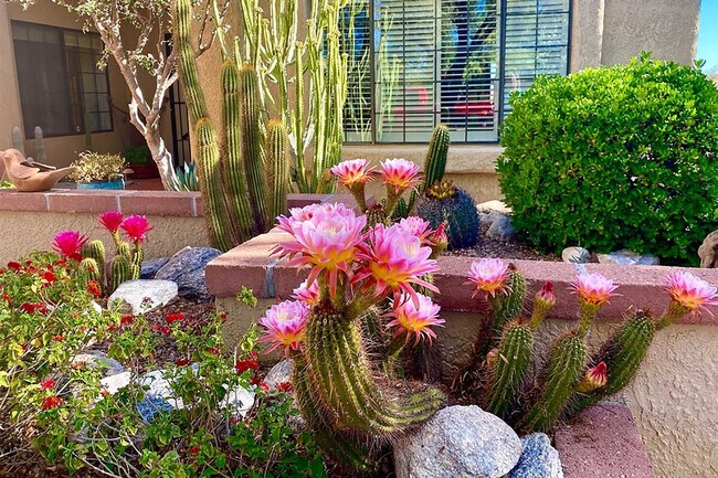 Building Photo - 1195 Camino Diestro-SI ID1385973P