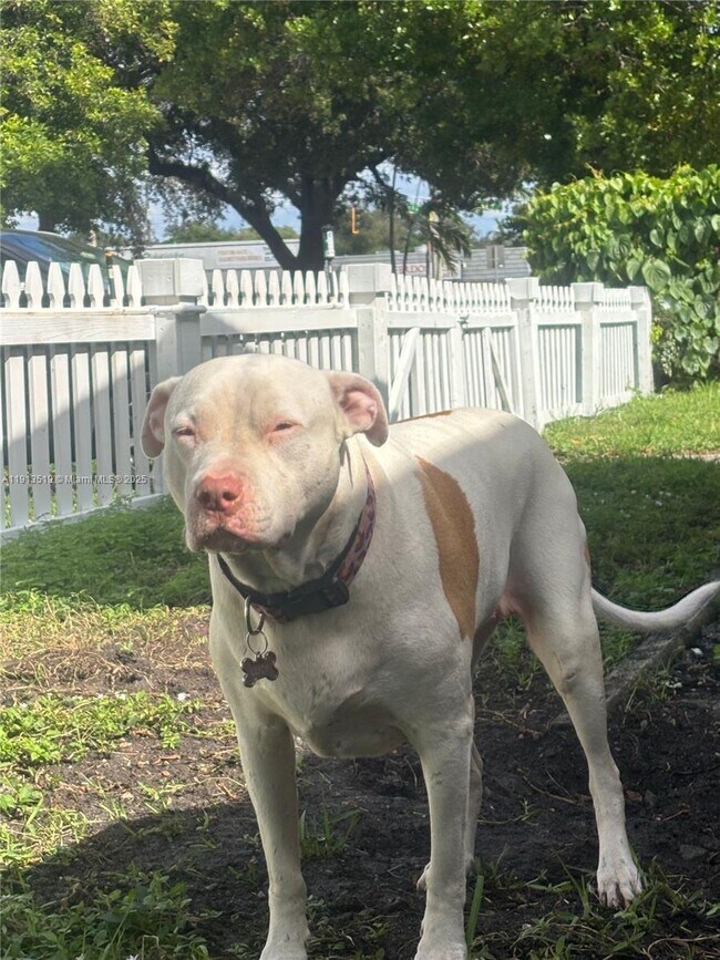 Building Photo - 2002 NE 43rd St