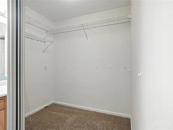 Building Photo - 8576 Timber Park Dr