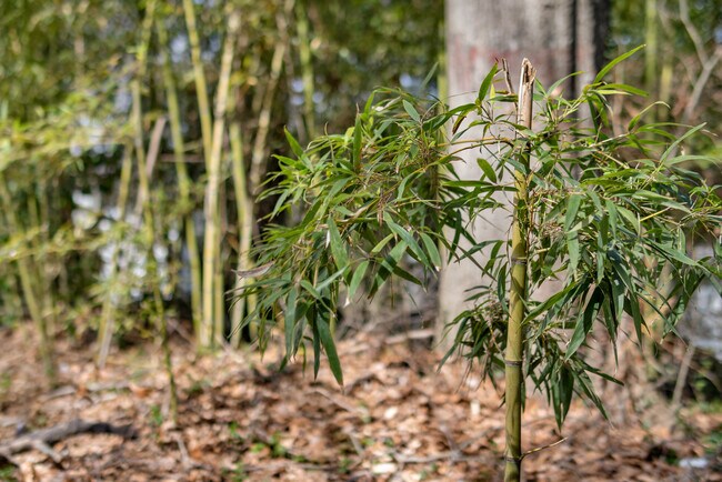 Building Photo - 764 Mary Ln