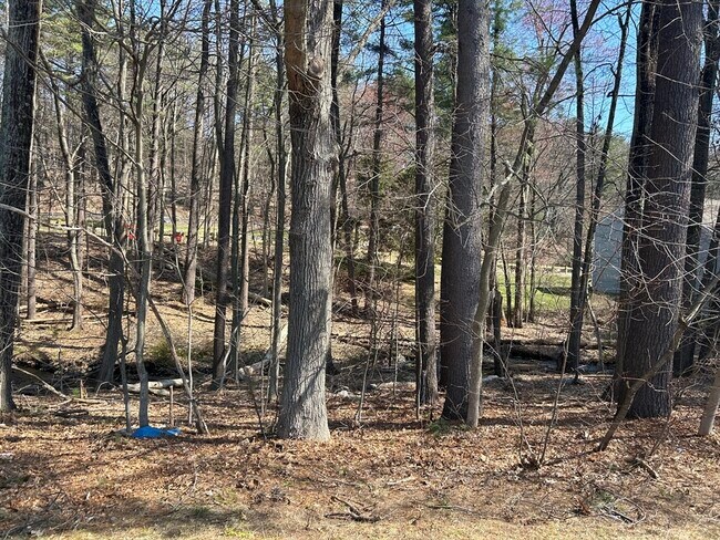 Building Photo - 380A Great Rd