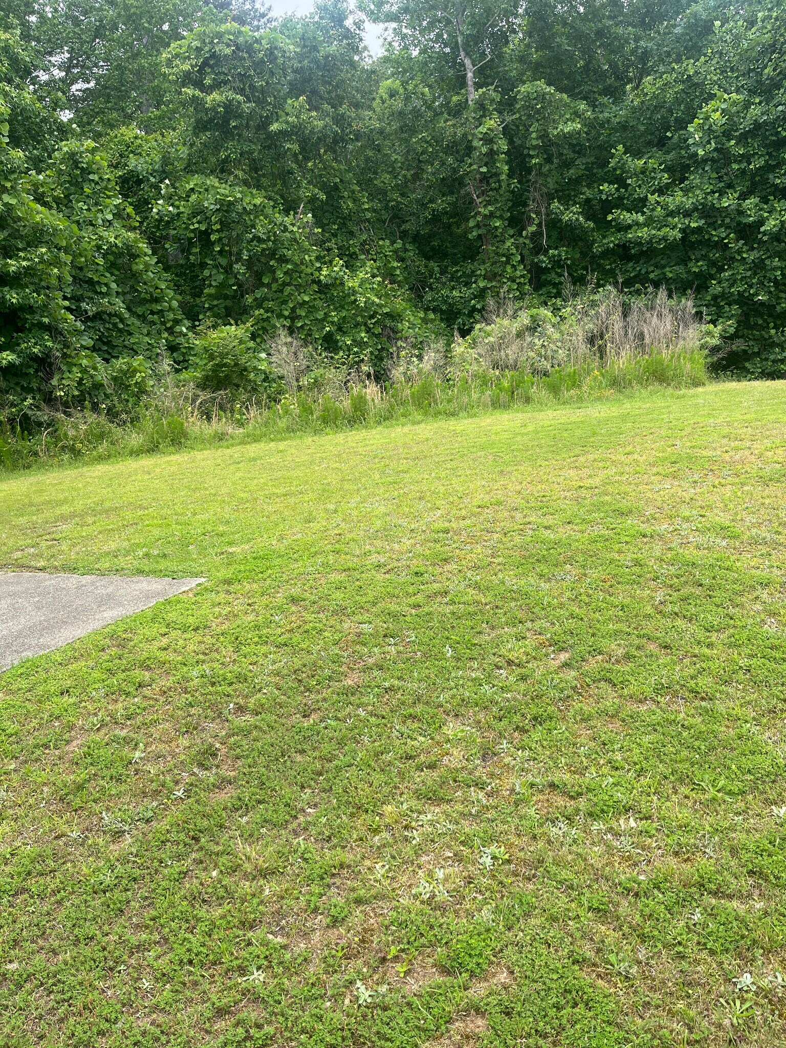 Building Photo - 2530 Sandown Ct