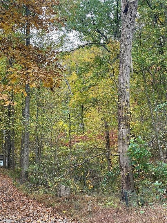 Building Photo - 456 Poverty Rd