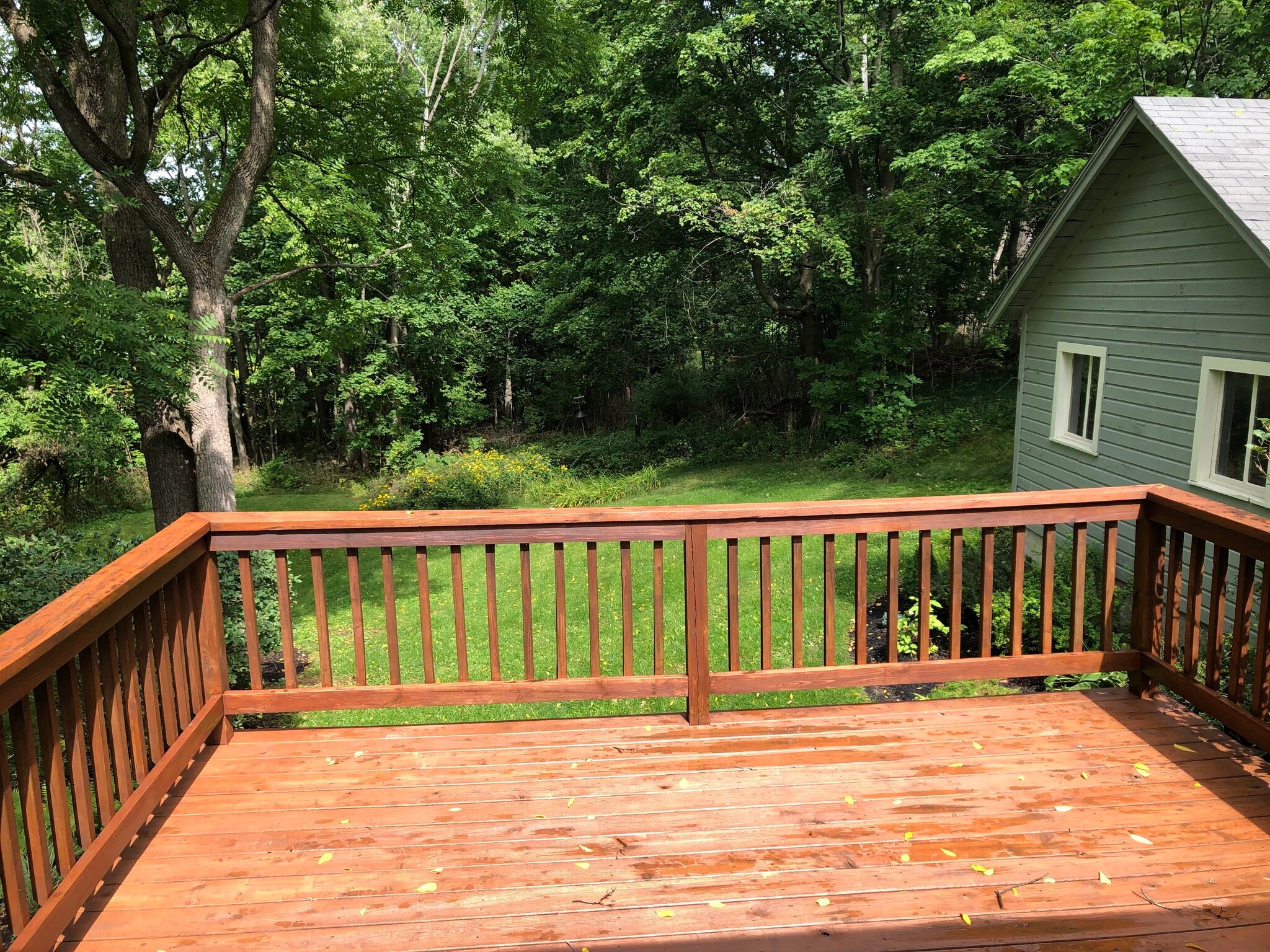 Deck off of the kitchen for grilling and enjoying nature and the private back yard. - 11 Kellogg St
