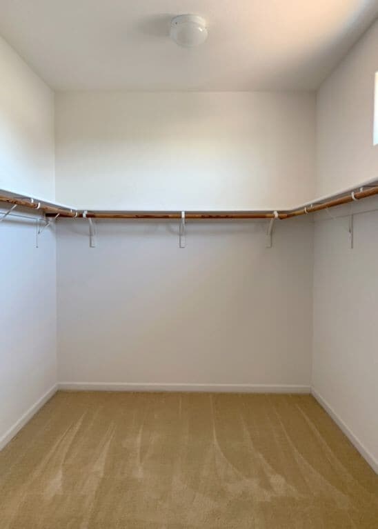 Building Photo - 6151 Lonetree Blvd