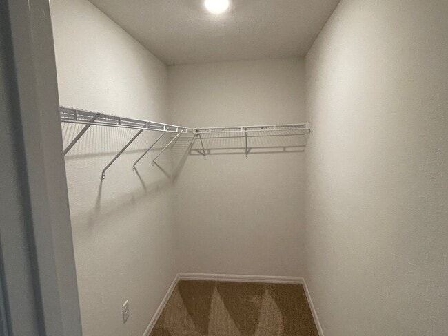 Building Photo - Like new 5/3/2 with screened in porch and much more...