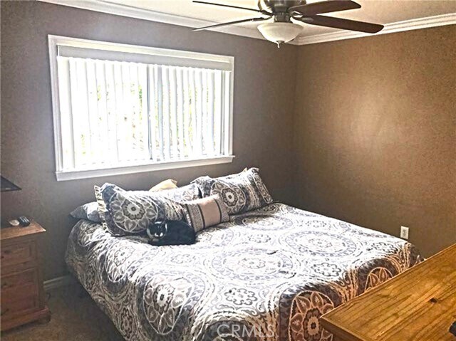 Building Photo - 20011 Shorewood Cir