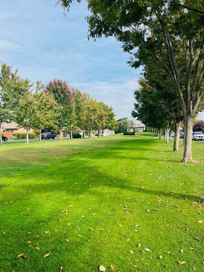 Building Photo - Beautiful, freshly renovated home in Avalon gated community in Visalia!