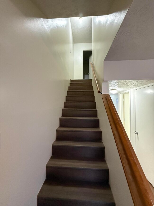 Building Photo - 3719 Trent Cir