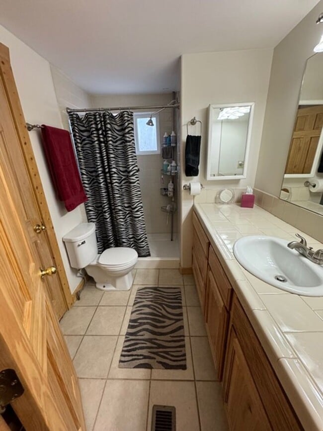 Building Photo - WOOF WOOF!  Come enjoy this pet friendly 3 Bedroom Breckenridge Home!  Hiking Trails and a Clubho...