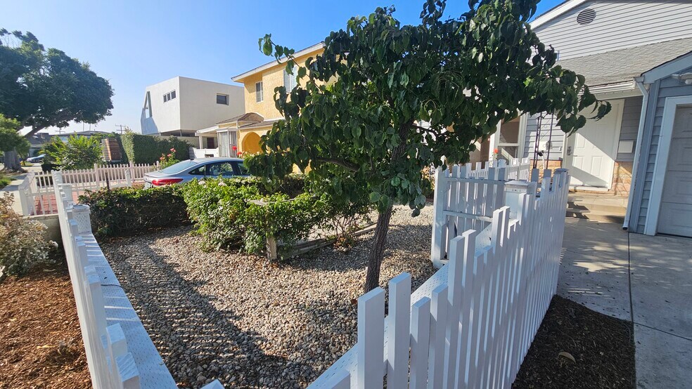 Fruit Tree - 4049 Tilden Ave