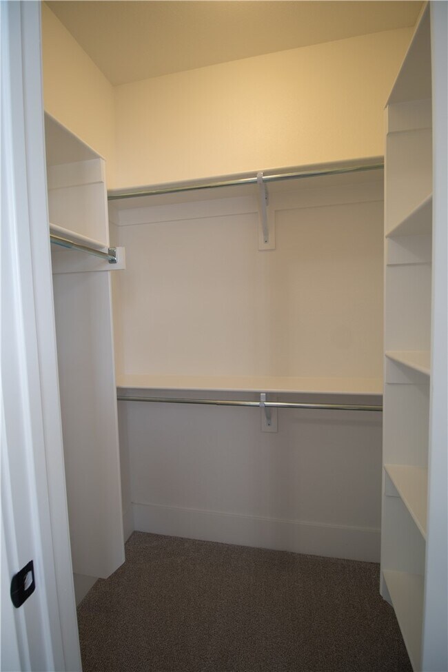 Building Photo - 1431 Cave Stream Dr