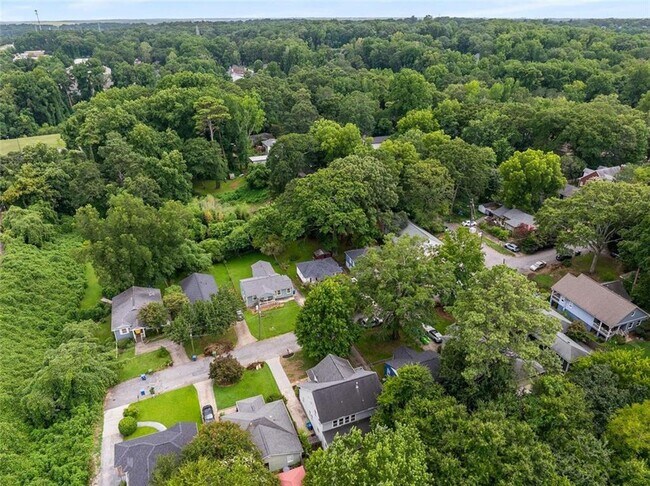 Building Photo - 1134 Knott St SE