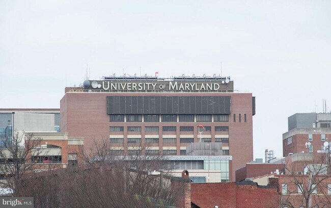 Building Photo - 1230 Wall St