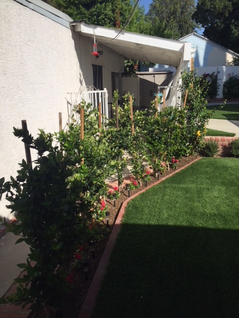 Patio - 6210 Calvin Ave