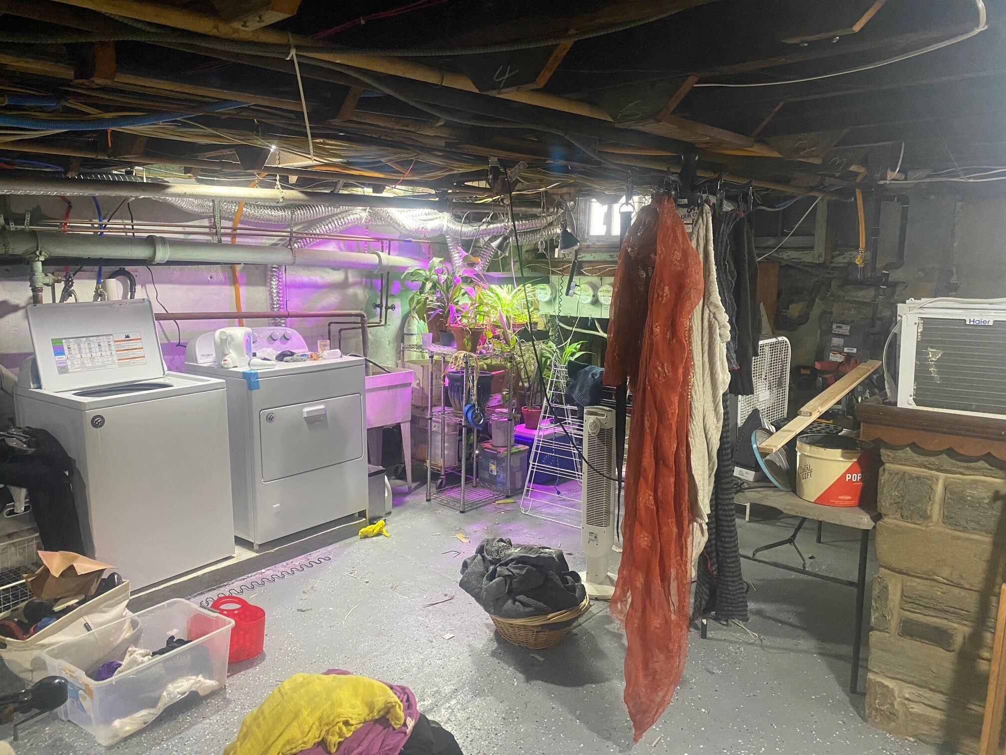 Full Basement w/ Laundry - 5113 Rochelle Ave