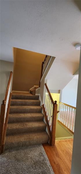 Building Photo - 246 Overlook Ct