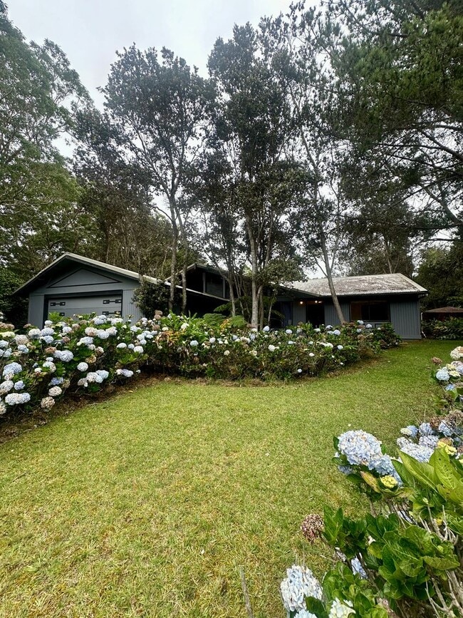 Building Photo - 99-7733 Uluhe Pl